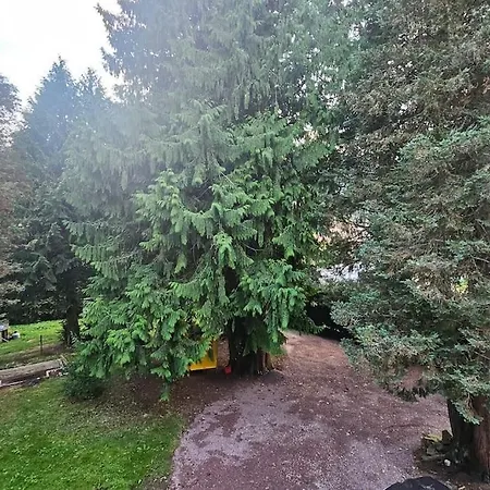 Le Pavillon Dans Le Parc