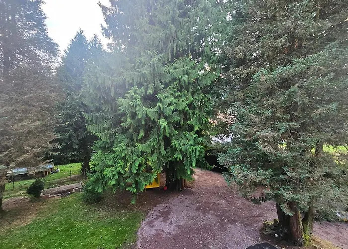 Le Pavillon Dans Le Parc 펜션 *