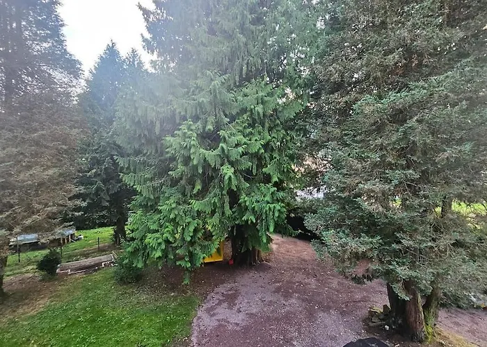 Le Pavillon Dans Le Parc